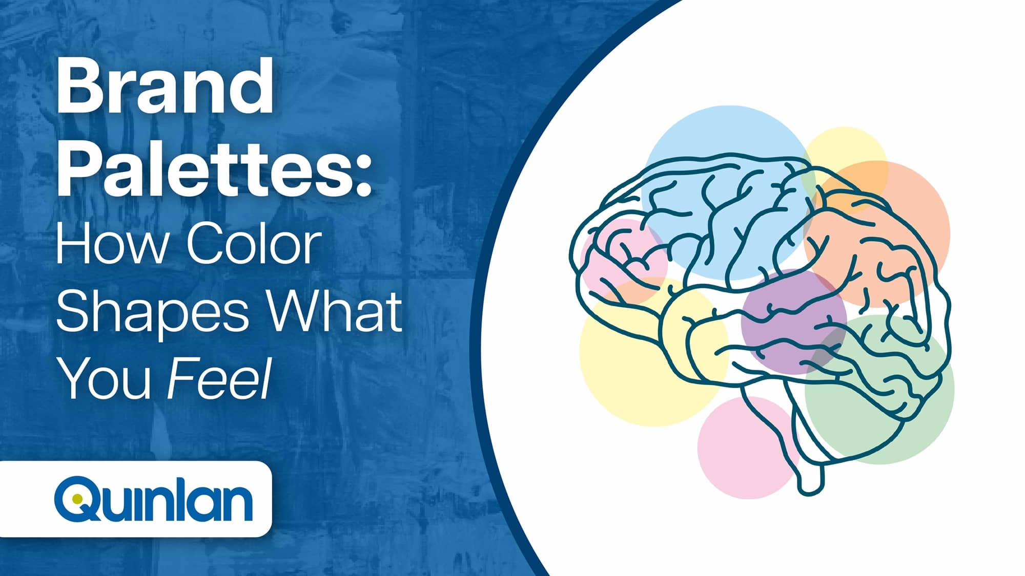 Brand Palettes